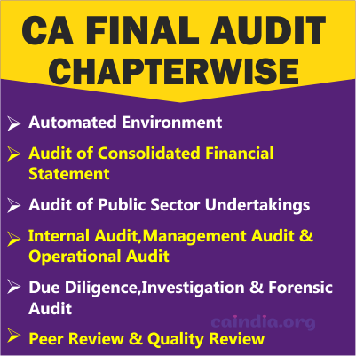 CA Final Audit_Category 2 (Regular Course)